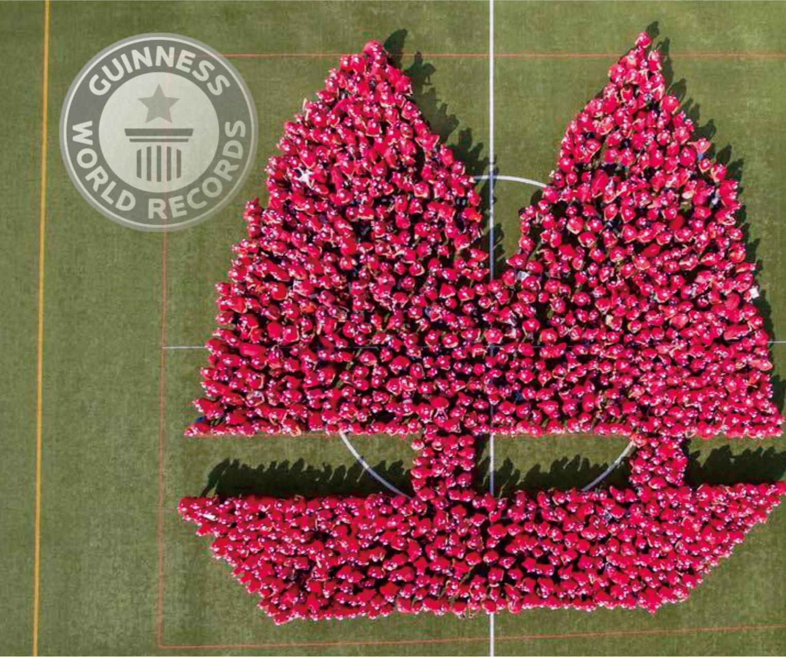 Large-scale aerial formation created by Kellett School participants during the Guinness World Record celebration